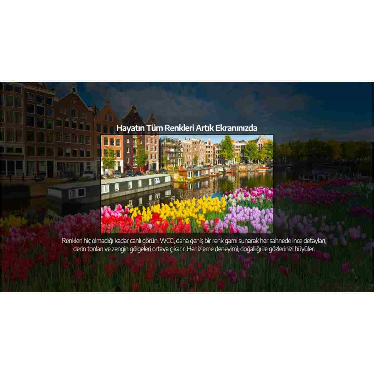 Beko Crystal SÜPER ÖTESİ GÖRÜNTÜ B65 OLED 4K Ultra HD Google OLED TV - Görsel 12