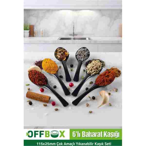 OFFBOX 6 Adet Baharat Kaşığı Kahvaltılık Baharatlık Kaşığı Kaşık Seti BK-06