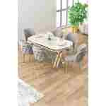 Canisa Zae Serisi 90x168 Lak Panel Beyaz Mermer Desen Gold Ayak Masa Takımı 6 Gri Sandalye