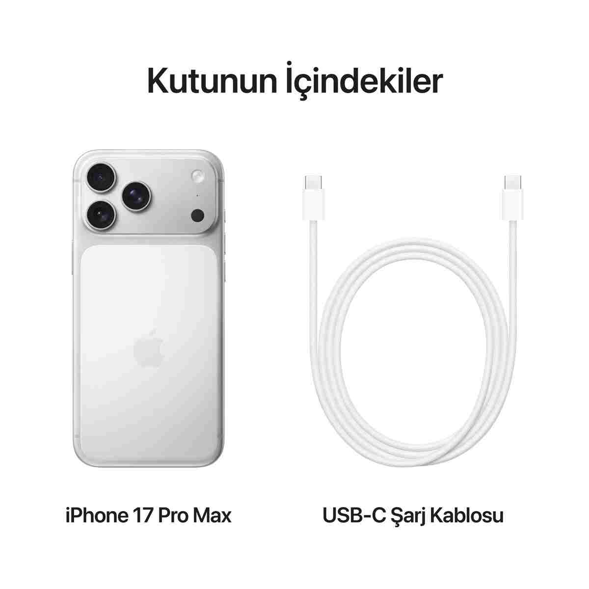 Apple iPhone 17 Pro Max 256GB Gümüş - Görsel 8
