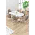 Canisa Zae Serisi 90x168 Lak Panel Beyaz Mermer Desen Krom Ayak Masa Takımı 6 Cappucino Sandalye
