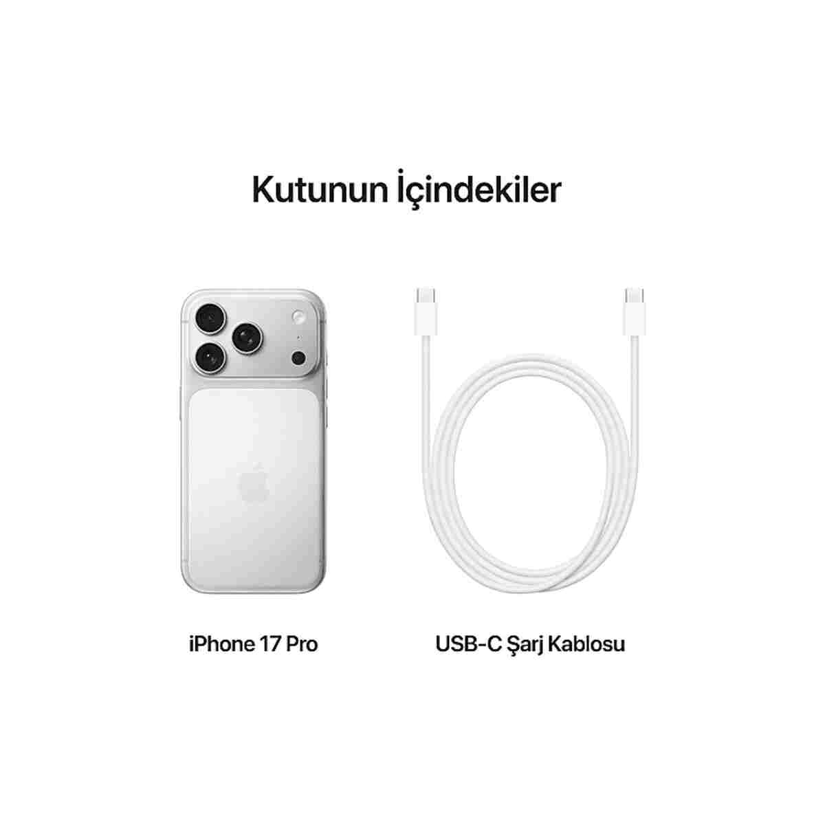 Apple iPhone 17 Pro 1 TB Akıllı Telefon Gümüş MG8P4TU/A - Görsel 8