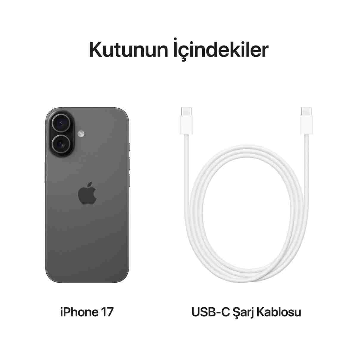 Apple iPhone 17 256GB Siyah - Görsel 5