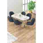 Canisa Zae Serisi 90x168 Lak Panel Beyaz Mermer Desen Gold Ayak Masa Takımı 6 Antrasit Sandalye