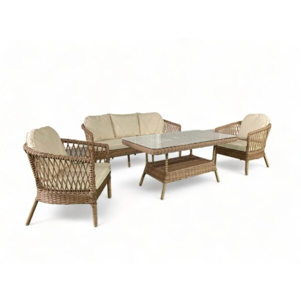 MONALİN HOME GARDEN Monalin Mobilya Miami 5 Kişilik(3-1-1-MASA) Rattan Örgü Bahçe Mobilyası