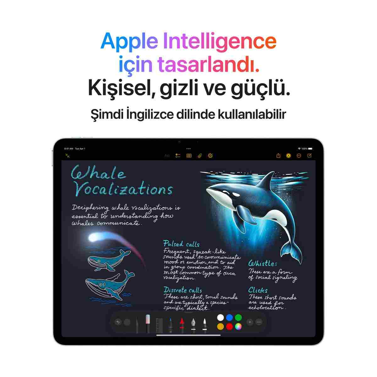 Apple 11" iPad Air Wi-Fi 128GB - Mavi - M3 işlemci - Görsel 5