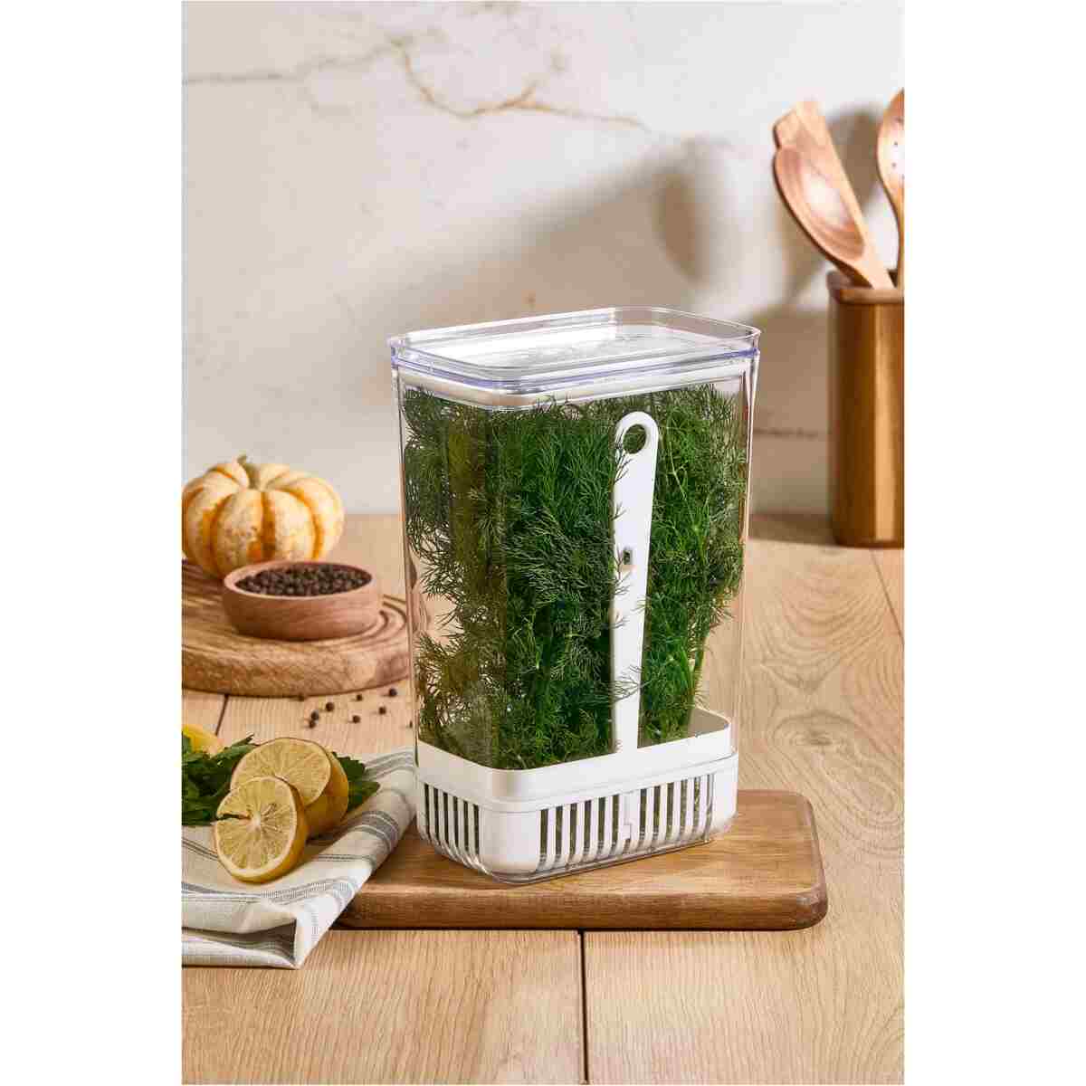 Comprox Yeşillik Saklama Kabı 2'li Set – 2900 ml | Sebze Saklama & Buzdolabı Tazeleyici Kutu - Görsel 11