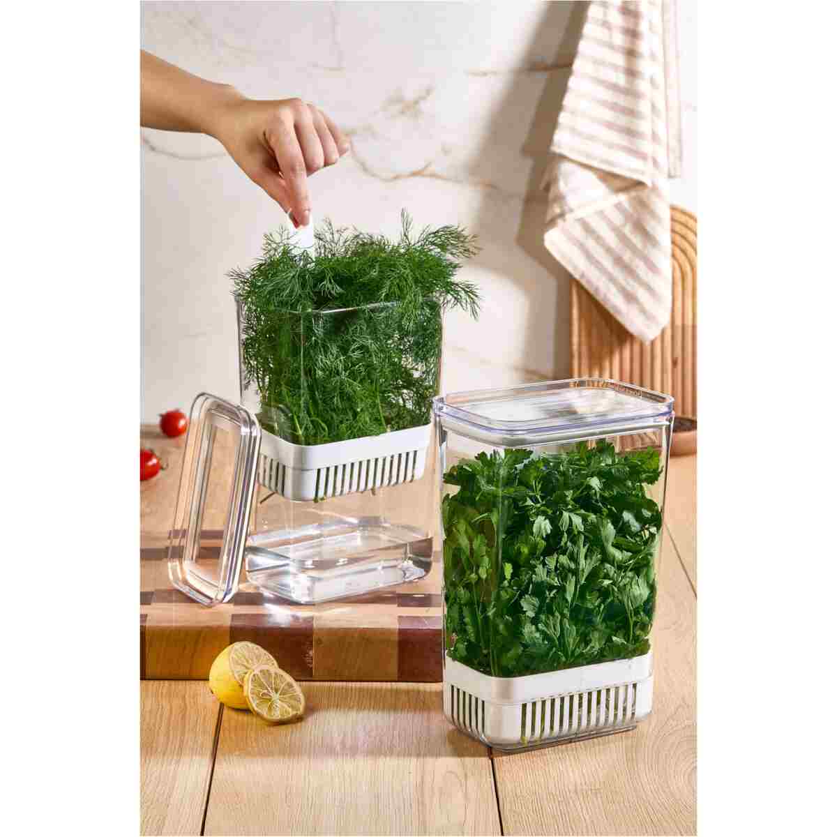 Comprox Yeşillik Saklama Kabı 2'li Set – 2900 ml | Sebze Saklama & Buzdolabı Tazeleyici Kutu - Görsel 9