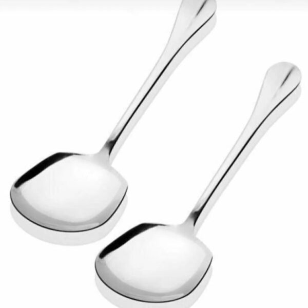 FBZhome 2 Adet Paslanmaz Çelik Servis Sunum Kaşığı 21 Cm Metal Kaşık
