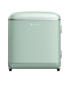 Dijitsu Db80rgr Retro Yeşil Mini Buzdolabı