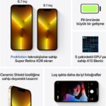 Apple iPhone 13 Pro Max 1 Tb Altın - Görsel 7